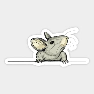 Curious Peeking Field or Corn Mouse Sticker